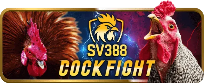 Bí Quyết Chơi Trò Chơi Slot Phổ Biến